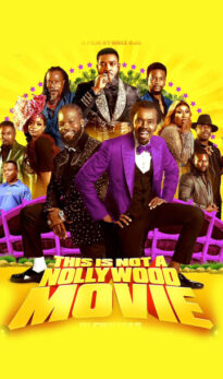 THIS IS NOT A NOLLYWOOD MOVIE