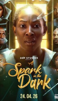 A SPARK IN THE DARK