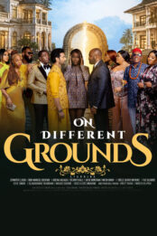 ON DIFFERENT GROUND